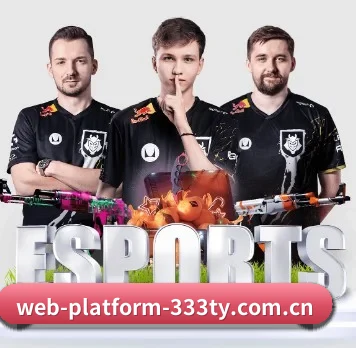 web-platform-333ty.com.cn APP 界面