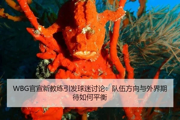 guan-xuan-xin-jiao-lian-yin-fa-qiu-mi-tao-lun-dui-wu-fang-xiang-yu-wai-jie-qi-dai-ru-he-ping-heng-1-631.jpg